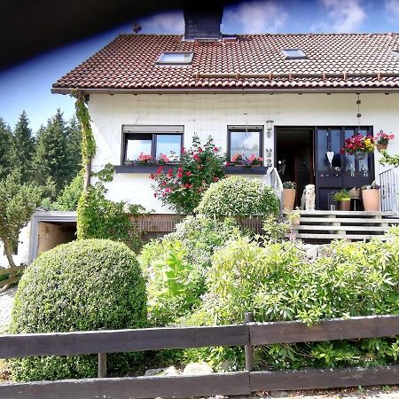 Ferienwohnung Anemone Mit Bergblick Braunlage Esterno foto