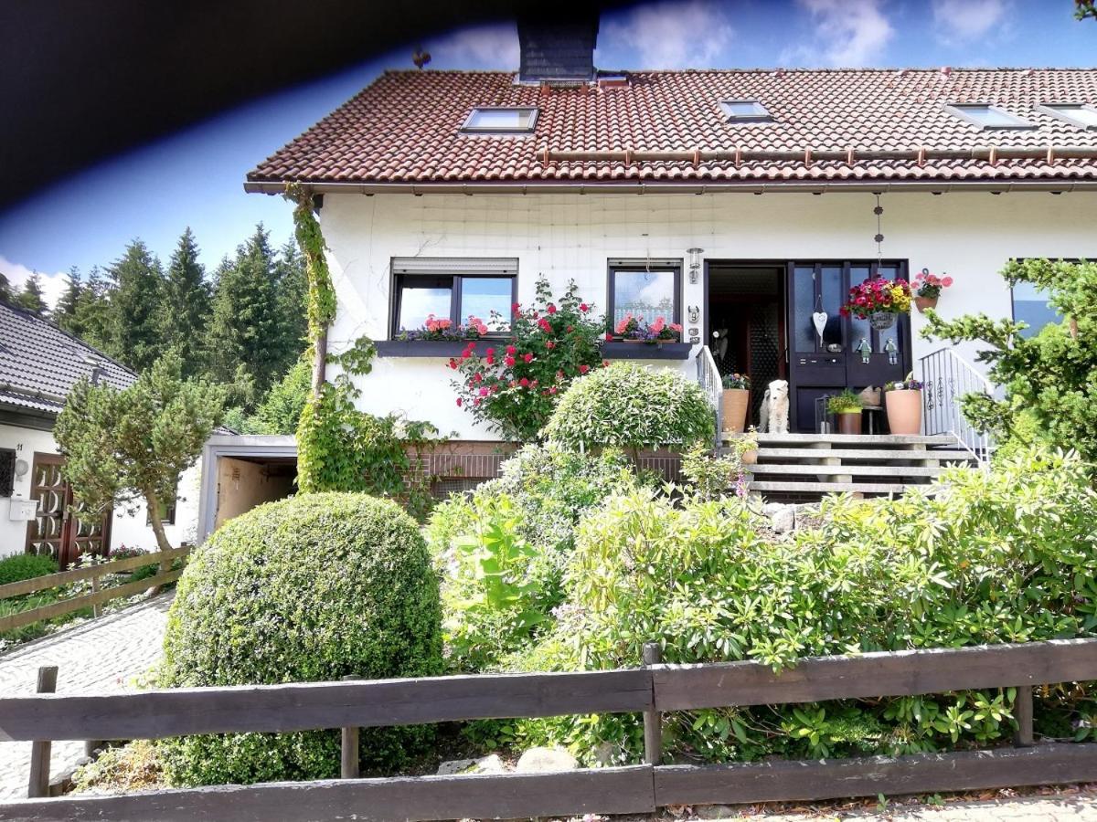 Ferienwohnung Anemone Mit Bergblick Braunlage Esterno foto